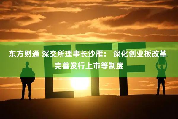东方财通 深交所理事长沙雁： 深化创业板改革 完善发行上市等制度