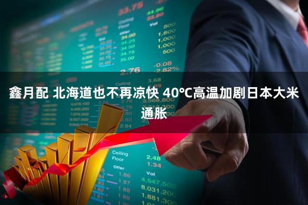 鑫月配 北海道也不再凉快 40℃高温加剧日本大米通胀