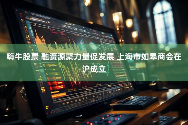 嗨牛股票 融资源聚力量促发展 上海市如皋商会在沪成立