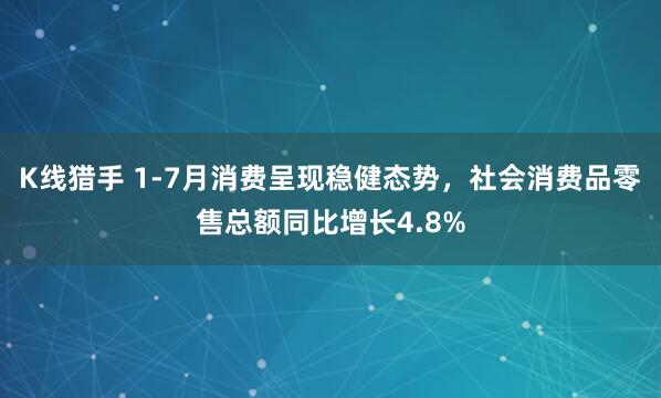 K线猎手 1-7月消费呈现稳健态势，社会消费品零售总额同比增长4.8%