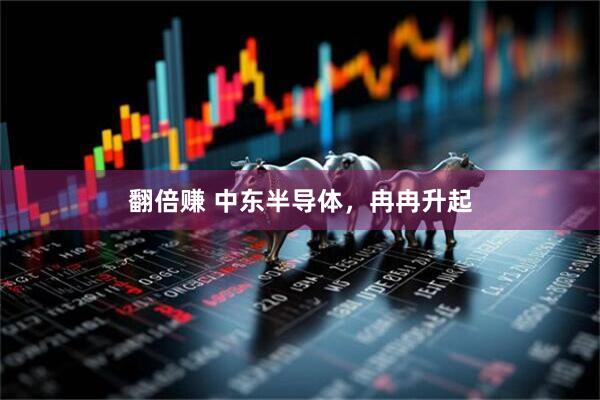 翻倍赚 中东半导体，冉冉升起