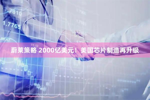 蔚莱策略 2000亿美元！美国芯片制造再升级