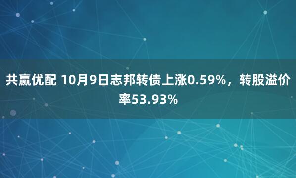 共赢优配 10月9日志邦转债上涨0.59%，转股溢价率53.93%