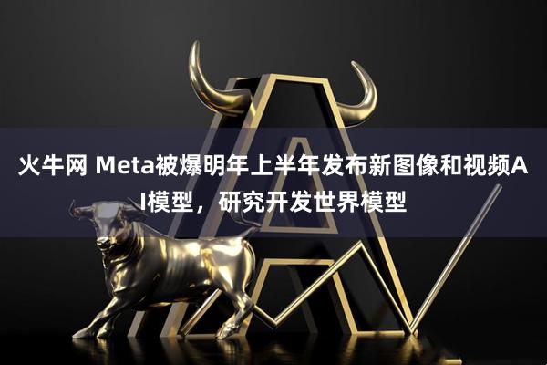 火牛网 Meta被爆明年上半年发布新图像和视频AI模型，研究开发世界模型