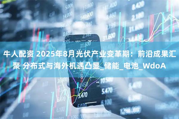 牛人配资 2025年8月光伏产业变革期：前沿成果汇聚 分布式与海外机遇凸显_储能_电池_WdoA